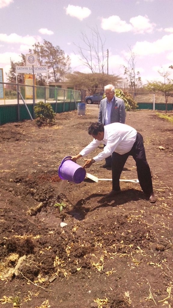 Tree Planting by Mr. Sambasiava Rao - Mar 2019